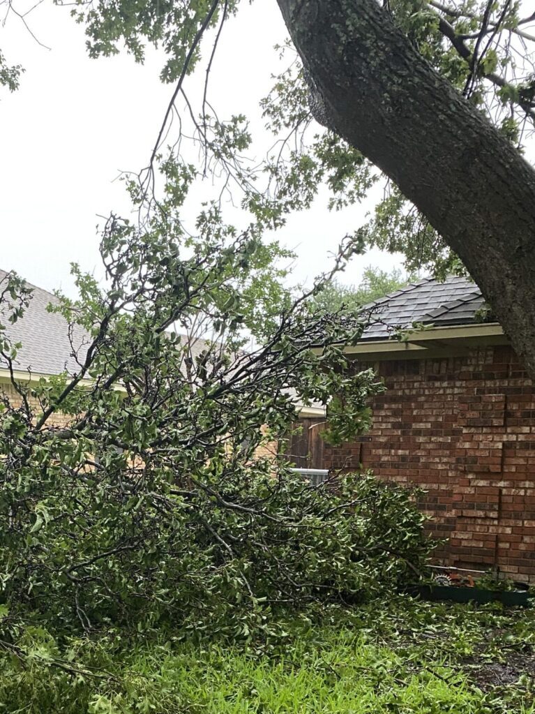 Storm Damage